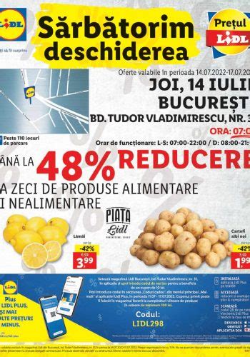 Program Lidl Tudor Vladimirescu: A Comprehensive Guide